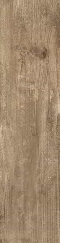 Comodita Quercia