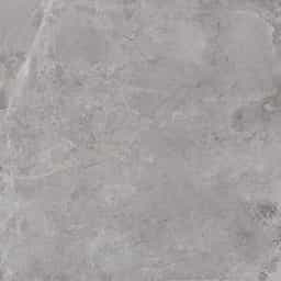Everglades Grey