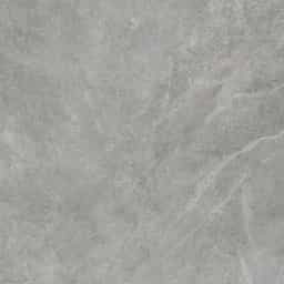 Pacific Grey