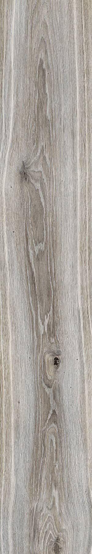 Woodbreak Hemlock