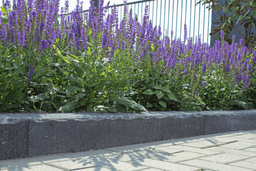 Betonbiels Antraciet