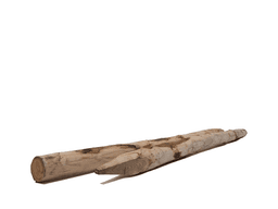 Kastanjepaal geschild en gepunt