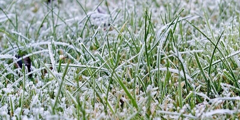 Afbeelding van Kunstgras bevroren? Zo ga je in de winter met kunstgras om!