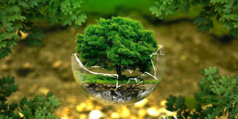 Afbeelding van Is kunstgras milieuvriendelijk?