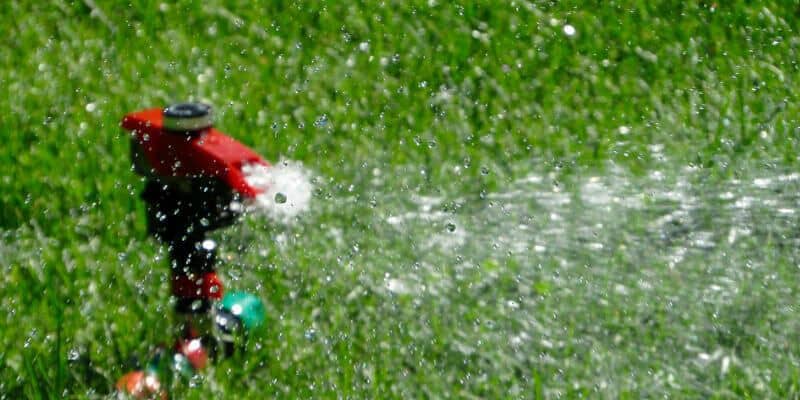 Afbeelding van Kunstgras sproeien tijdens een hittegolf