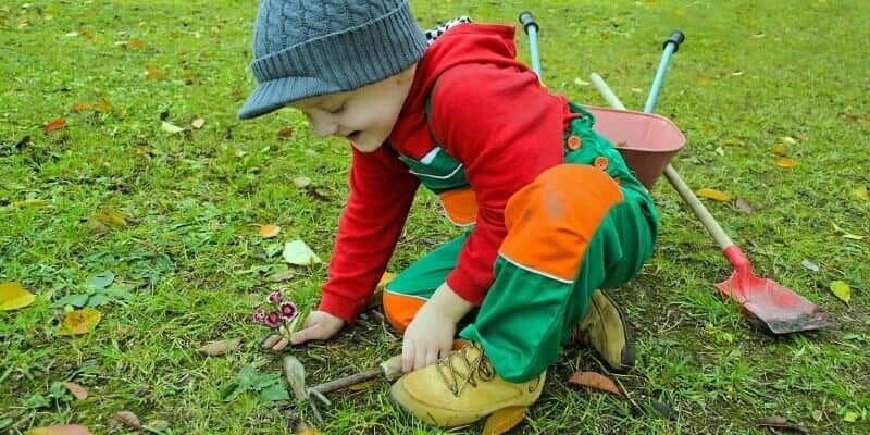 Afbeelding van Kunstgrasonderhoud: 5 tips van Nudetuin