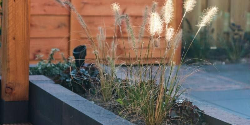 Afbeelding van Waarvoor kun je muurelementen gebruiken?