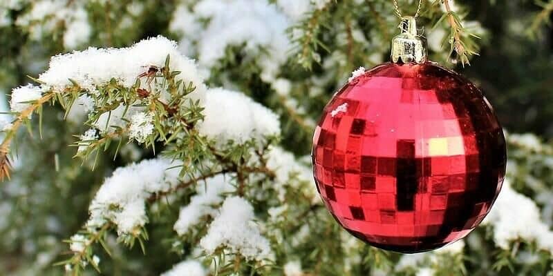 Afbeelding van Het 2020 van Nudetuin: op naar 2021!