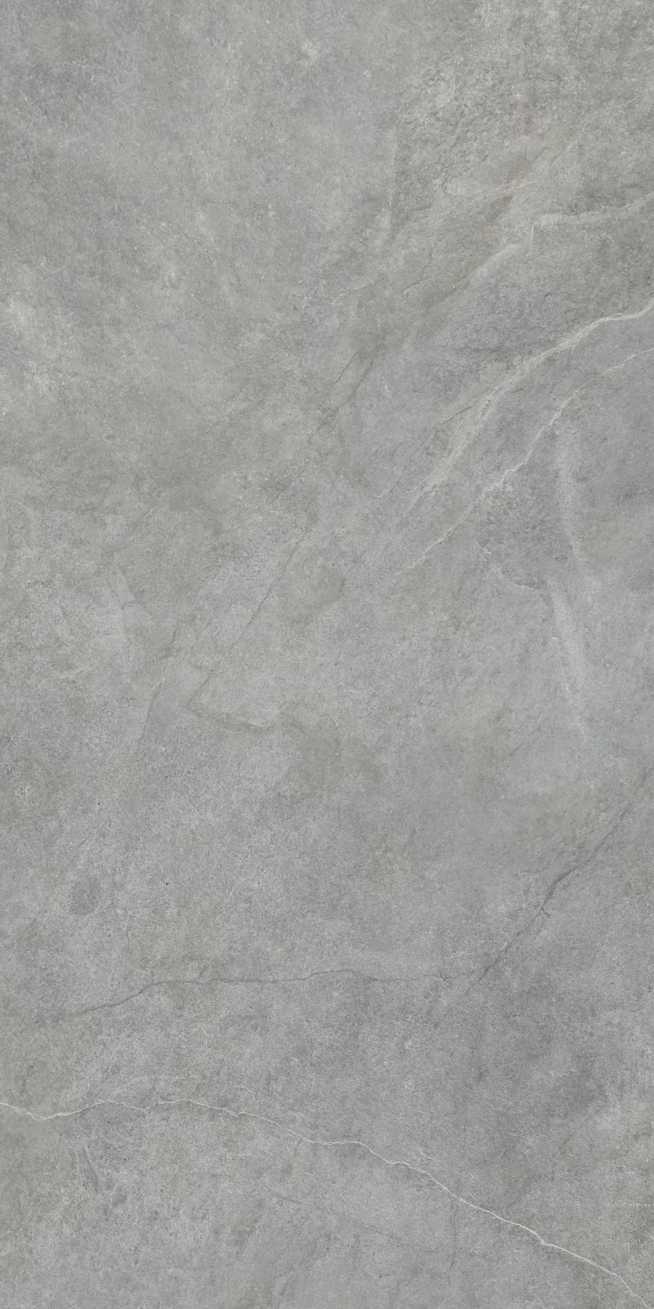 Pacific Grey nieuw