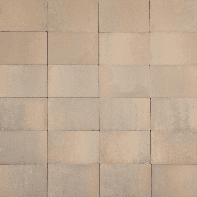 Terratops Terratops Safari