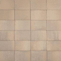 Terratops Terratops Safari