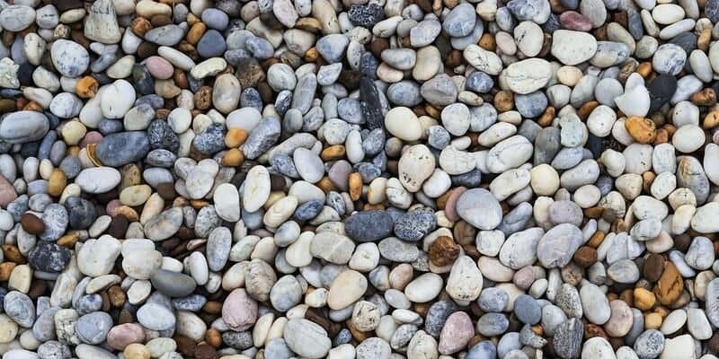 Afbeelding van Tuin met grind en planten: 5 voordelen!