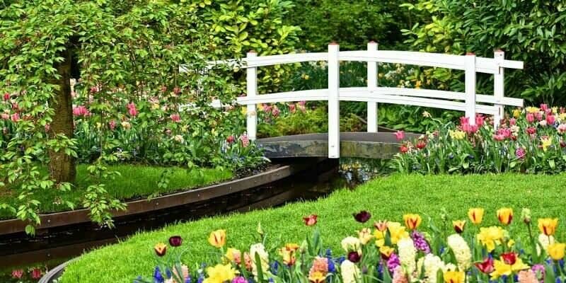 Afbeelding van Tuintips: wat doe jij met je tuin?