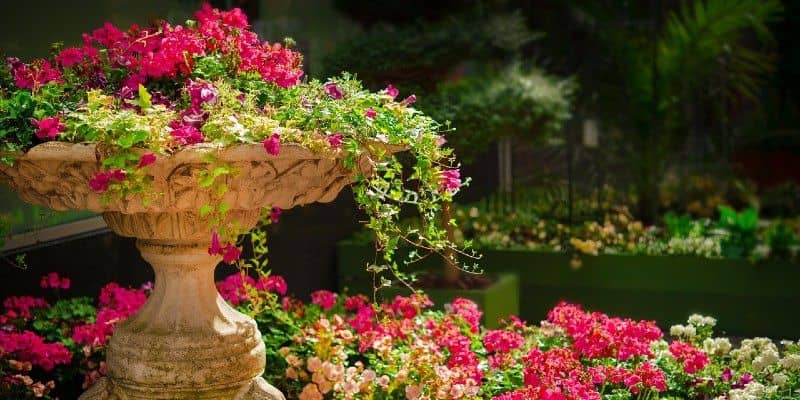 Afbeelding van Dit zijn de tuintrends van dit moment!