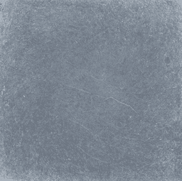 Vietnam blue tegel Anticato