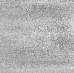 GeoColor GeoColor 3.0 (Tops) White/Grey