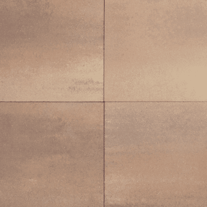 Terratops Terratops Safari