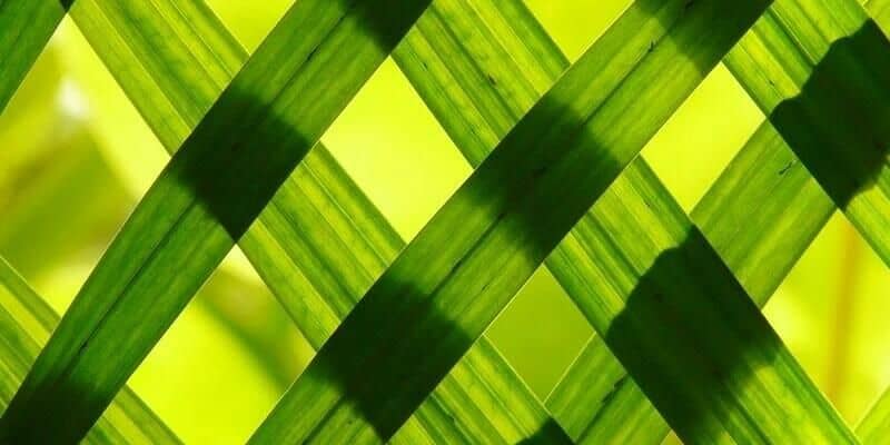 Afbeelding van Waar wordt kunstgras van gemaakt?