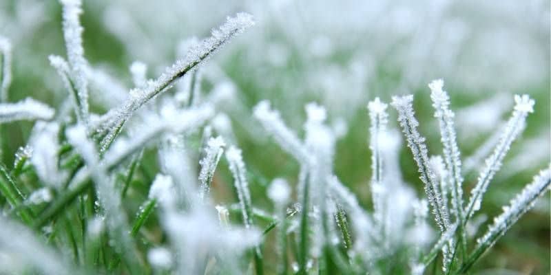 Afbeelding van Winteronderhoud van kunstgras: hoe zit dat precies?