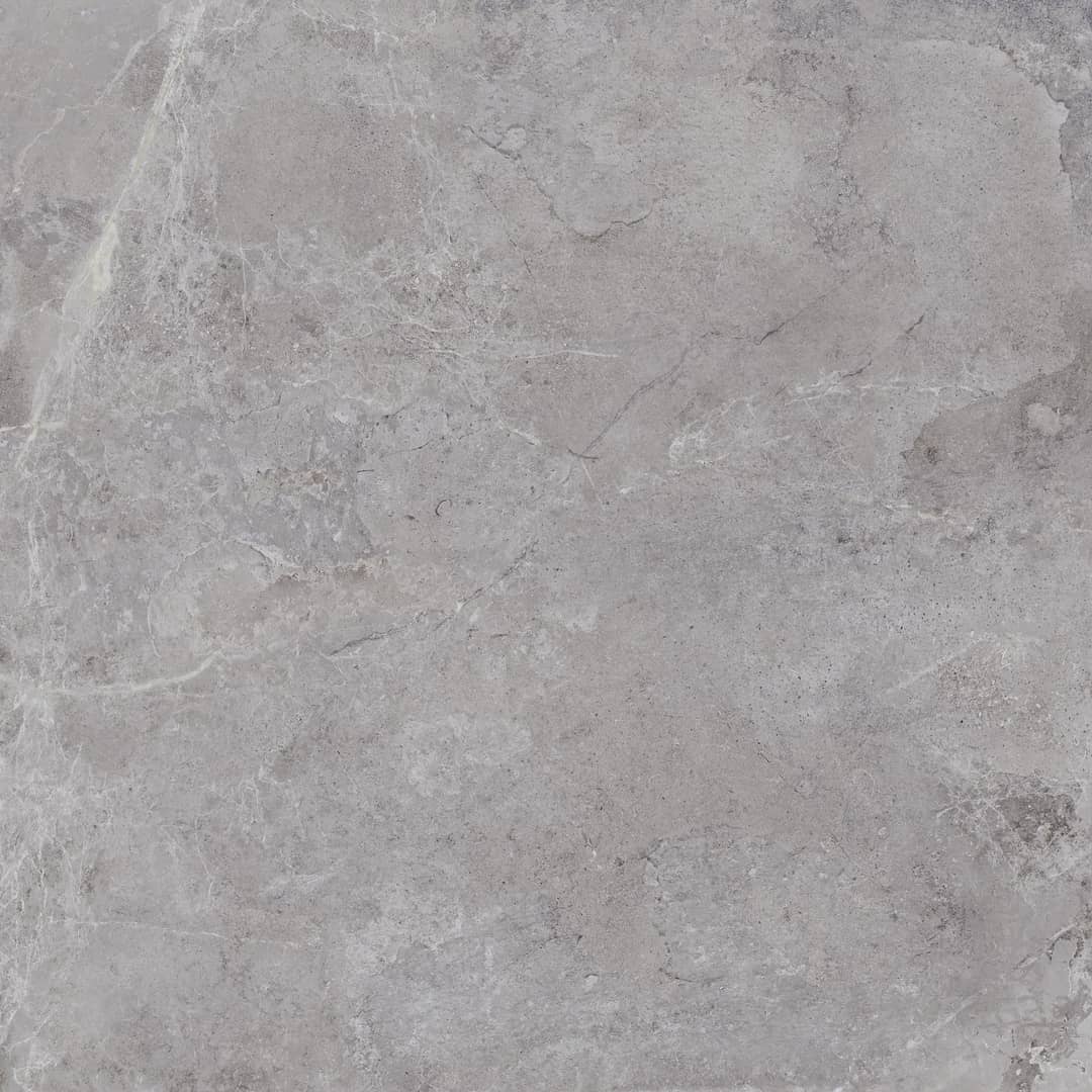 Everglades Grey