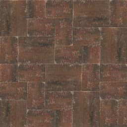 Abbeystones wildverband 6 cm Zomerbont met deklaag