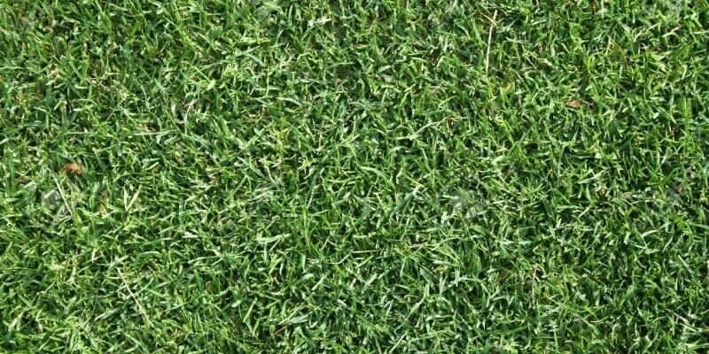 Afbeelding van Kunstgras bestellen: 5 onmisbare tips!