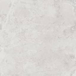 Evolution White