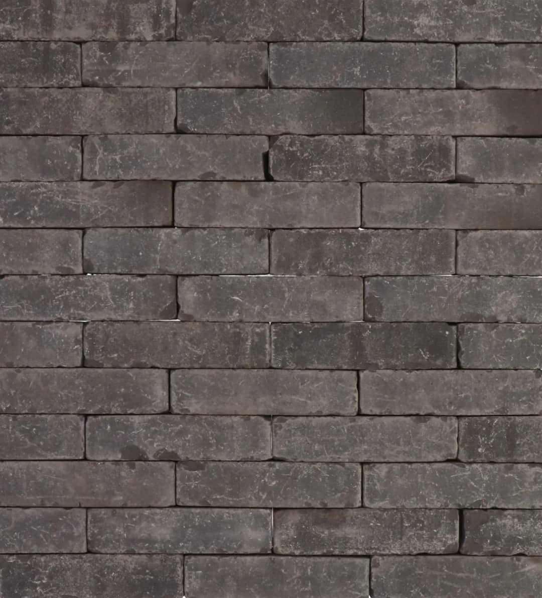 Rustiek WF60 Black Panther