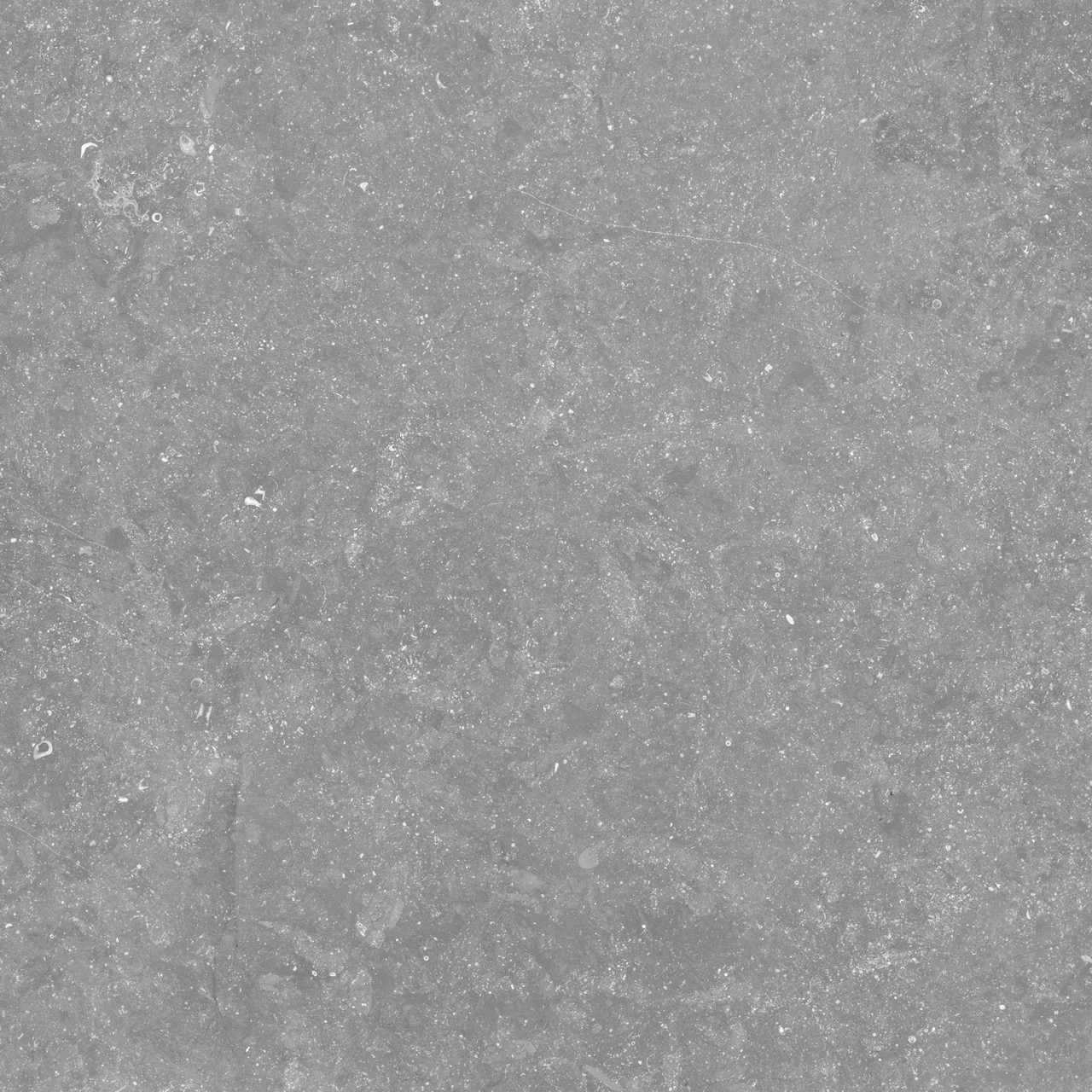 Ceramaxx Pietra Belgio Grigio Chiaro 80x80x2 cm