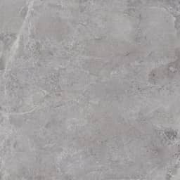 Evolution Grey