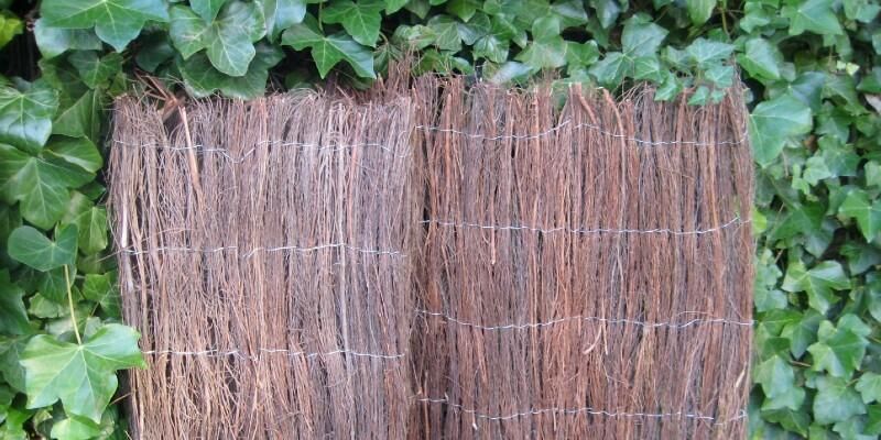 Afbeelding van Natuurlijke schermen voor de tuin: 5 voordelen