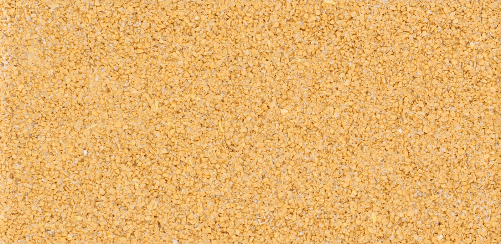 ZOAK Geel