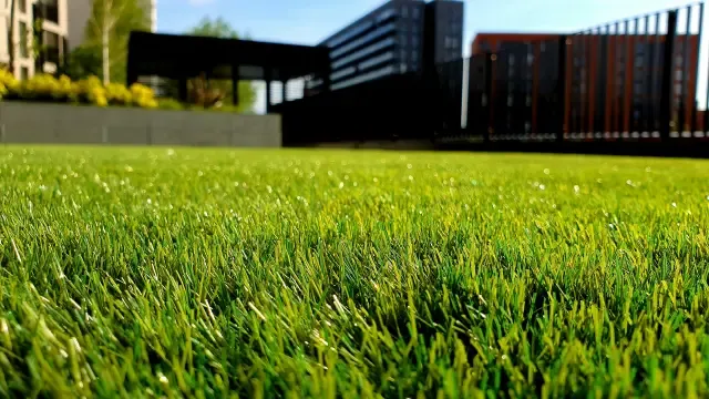 Kunstgras