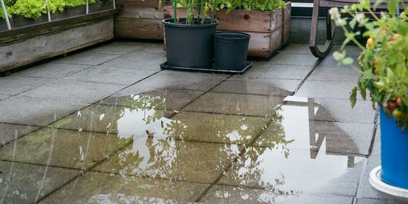 Bekijk onze blog over Plassen in de tuin voorkomen? Zo pak je het slim aan!