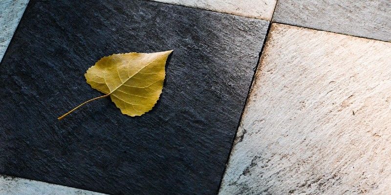 Bekijk onze blog over 5 fouten bij het aanleggen van sierbestrating (en hoe je ze voorkomt)
