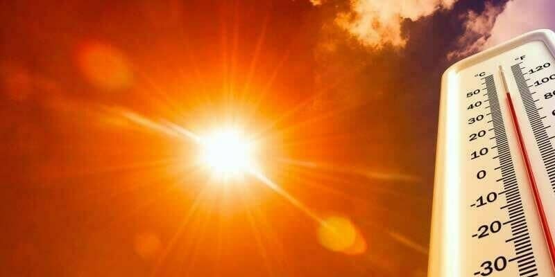 Afbeelding van Hittegolf! Wat te doen met je kunstgras?