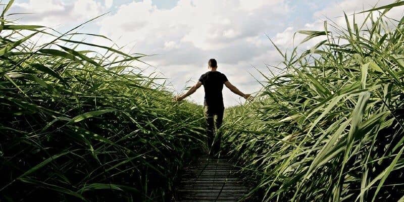 Afbeelding van Mooi kunstgras kiezen? Let op de hoogte!