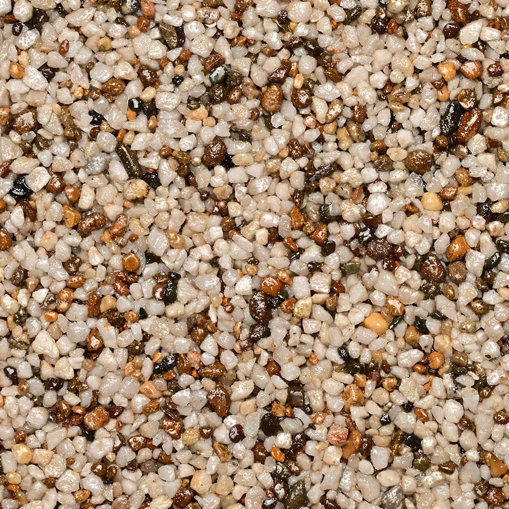WS StoneBinder Sea Shell