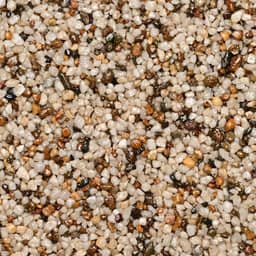 WS StoneBinder Sea Shell