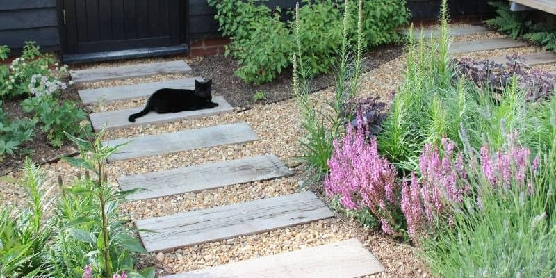 Afbeelding van Welk siergrind is het best voor jouw tuin?