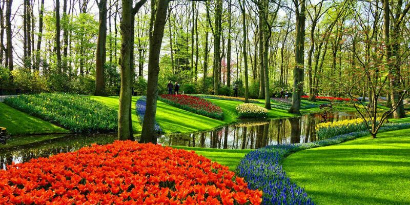 Afbeelding van Top 5 mooiste tuinen ter wereld: boordevol inspiratie!